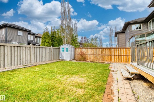 Expansive backyard featuring a manicured lawn, brick paver pathway, and a light-grey storage shed with blue-trimmed windows - 2036 Ainslie Link Link, Edmonton, AB - Outdoor