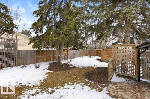 The property features a fenced yard with mature evergreen trees and a wooden lattice privacy screen - 7 Ash Place, St. Albert, AB - Outdoor