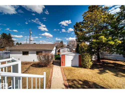 Spacious backyard featuring a white picket fence, large mature tree, a red and white storage shed, and a concrete pathway leading to the main structure - 10231 46 Street, Edmonton, AB 