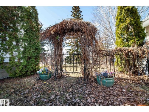 Wrought iron gate and fencing with an arched trellis structure - 10231 46 Street, Edmonton, AB 