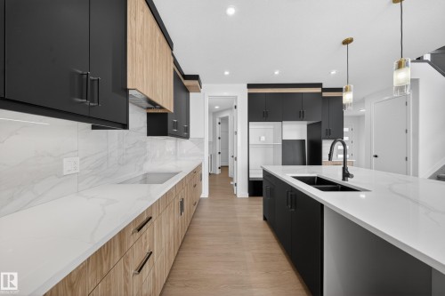260 166 Avenue, Edmonton, AB - Indoor Photo Showing Kitchen With Double Sink With Upgraded Kitchen