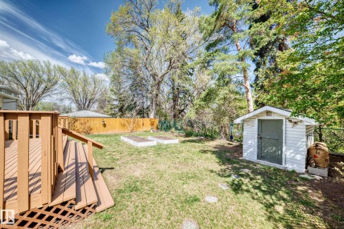 Expansive backyard featuring a wood-finish deck with lattice skirting, a manicured lawn, two raised garden beds, and a white storage shed - 79 Broadview Crescent, St. Albert, AB - Outdoor