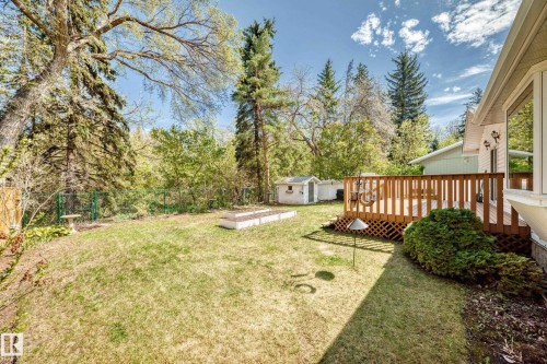 Spacious backyard featuring a large wooden deck, mature trees, manicured lawn, and a raised garden bed - 79 Broadview Crescent, St. Albert, AB - Outdoor