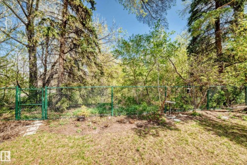 Green chain-link fencing enclosing a sloped grassy area, bordered by mature trees and varied foliage - 79 Broadview Crescent, St. Albert, AB - Outdoor