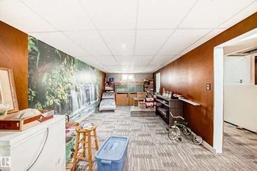 Finished lower level with patterned carpet flooring, drop ceiling with recessed lighting, and a feature wall with a nature-themed mural - 11303 60 Street, Edmonton, AB - Indoor Photo Showing Other Room