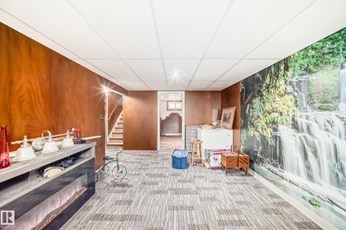 Finished room featuring wood paneling, drop ceiling, and patterned carpet - 11303 60 Street, Edmonton, AB - Indoor Photo Showing Other Room