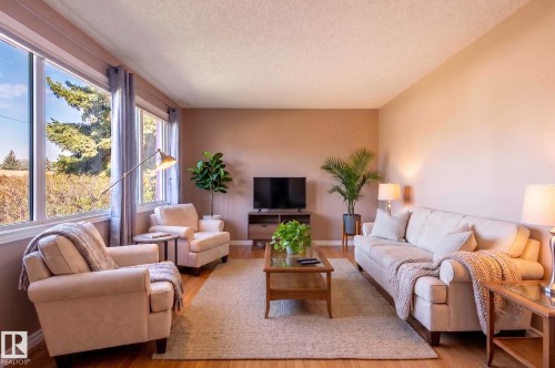 9331 52 Street, Edmonton, AB - Indoor Photo Showing Living Room