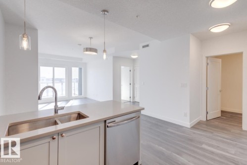 317 1316 Winderemere Way, Edmonton, AB - Indoor Photo Showing Kitchen With Double Sink