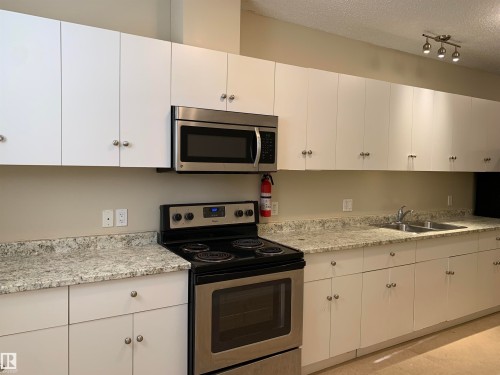 11824 93 Street, Edmonton, AB - Indoor Photo Showing Kitchen With Double Sink