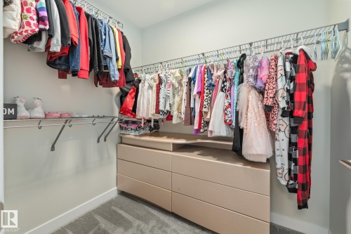2024 160 Street Sw, Edmonton, AB - Indoor With Storage