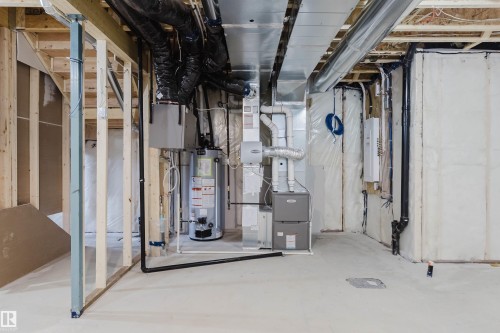 226 Edgemont Green, Edmonton, AB - Indoor Photo Showing Basement