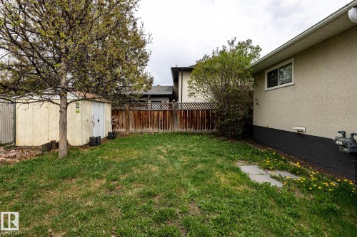 Expansive backyard featuring a mature tree, wooden privacy fence, and a storage shed - 3004 68 Street, Edmonton, AB - Outdoor