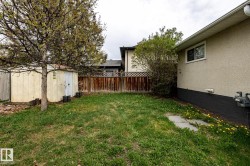 Expansive backyard featuring a mature tree, wooden privacy fence, and a storage shed - 