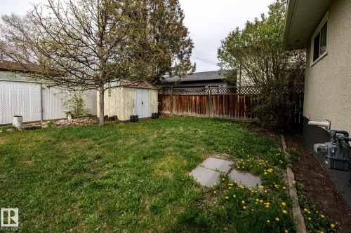 Expansive grassed backyard with mature trees - 3004 68 Street, Edmonton, AB - Outdoor