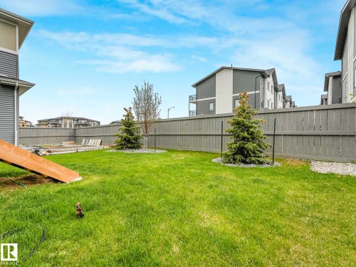 Expansive green lawn with mature evergreen trees and a wood privacy fence - 16307 19 Avenue, Edmonton, AB - Outdoor
