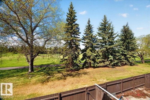 Expansive green space featuring a large deciduous tree and a row of evergreen trees - 32 1820 56 Street, Edmonton, AB - Outdoor