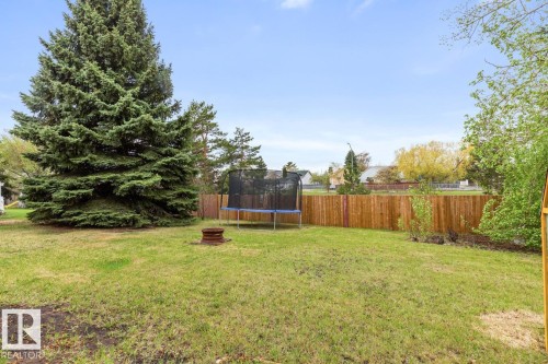 Expansive lawn area featuring a mature evergreen tree - 4340 33 Street, Edmonton, AB - Outdoor With Backyard