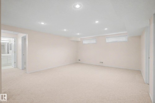 12 9718 176 Street, Edmonton, AB - Indoor Photo Showing Basement