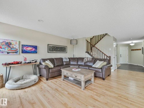 20853 92A Avenue Nw, Edmonton, AB - Indoor Photo Showing Living Room