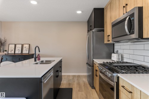 19220 27 Avenue, Edmonton, AB - Indoor Photo Showing Kitchen With Double Sink