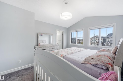 Bedroom featuring vaulted ceilings, plush grey carpeting, two large windows with white trim, and a contemporary ceiling light fixture - 1024 Daniels Loop, Edmonton, AB 