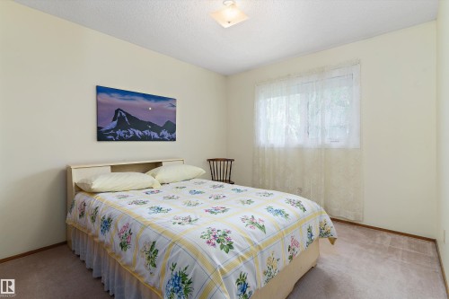 17404 Callingwood Road, Edmonton, AB - Indoor Photo Showing Bedroom