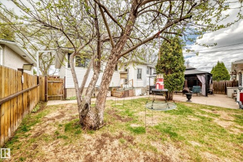 Backyard featuring a paved patio area, a dark-framed gazebo, and a mature tree - 4006 115 Avenue, Edmonton, AB 