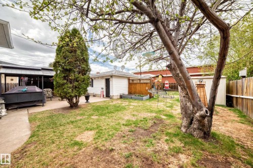 Fenced backyard featuring a concrete patio, detached garage, and mature tree - 4006 115 Avenue, Edmonton, AB 