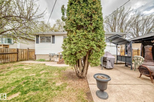 Expansive backyard featuring a mature evergreen tree, concrete patio area, and wooden fence - 4006 115 Avenue, Edmonton, AB 