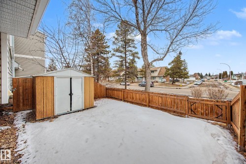 The property features a fenced yard, a storage shed, and mature trees - 6F Castle Terrace, Edmonton, AB - Outdoor