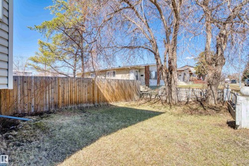 Expansive backyard featuring a wood fence, mature trees, and a grass lawn - 15504 102 Avenue Nw, Edmonton, AB - Outdoor