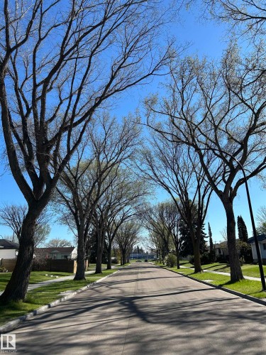 8516 64 Avenue, Edmonton, AB - Outdoor With View