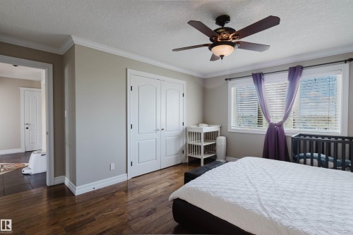 Bright room featuring wood-finish flooring and crown molding - 3412 Macneil Link, Edmonton, AB 