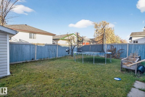 Expansive fenced backyard featuring a grassy lawn, mature perimeter trees, and a wooden raised garden bed - 3912 31 Street, Edmonton, AB 