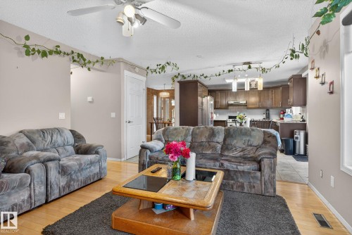 Open-concept living area featuring wood-finish flooring and a ceiling fan with integrated lighting - 3912 31 Street, Edmonton, AB 
