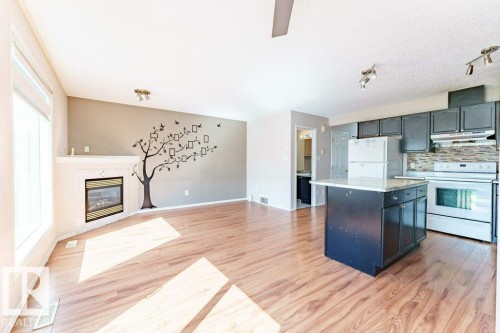 2920 30 Street, Edmonton, AB - Indoor Photo Showing Kitchen With Fireplace
