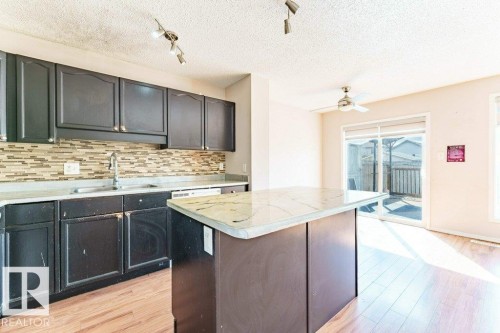 2920 30 Street, Edmonton, AB - Indoor Photo Showing Kitchen With Double Sink