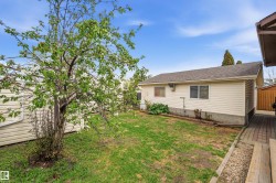 Expansive grassed yard featuring a mature tree with white blossoms, a paved pathway, and a detached structure with siding and multiple windows - 
