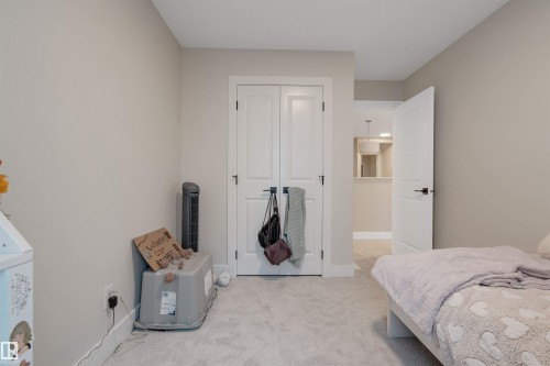 22916 95 Avenue, Edmonton, AB - Indoor Photo Showing Bedroom