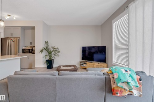 22916 95 Avenue, Edmonton, AB - Indoor Photo Showing Living Room