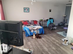 Spacious living area featuring wood-finish flooring, light-toned walls, and a painted brick accent wall - 