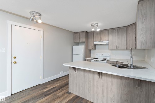 7 11008 124 Street, Edmonton, AB - Indoor Photo Showing Kitchen With Double Sink