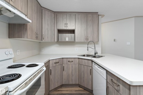 7 11008 124 Street, Edmonton, AB - Indoor Photo Showing Kitchen With Double Sink