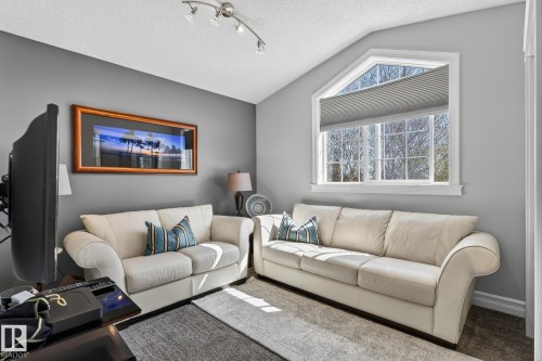 4830 188 Street, Edmonton, AB - Indoor Photo Showing Living Room