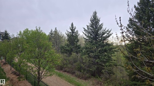 Expansive natural landscape featuring mature evergreen trees and vibrant deciduous foliage - 90 3010 33 Avenue, Edmonton, AB - Outdoor With View