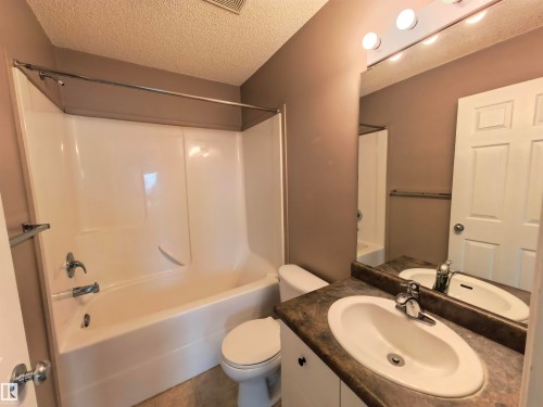 383 Silverberry Road, Edmonton, AB - Indoor Photo Showing Bathroom