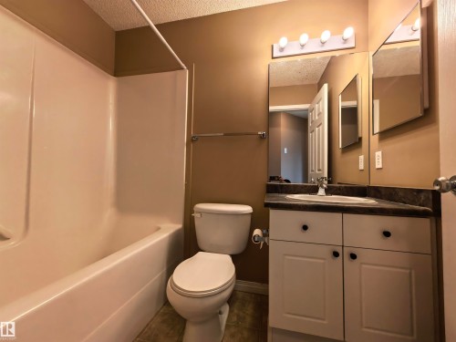 383 Silverberry Road, Edmonton, AB - Indoor Photo Showing Bathroom
