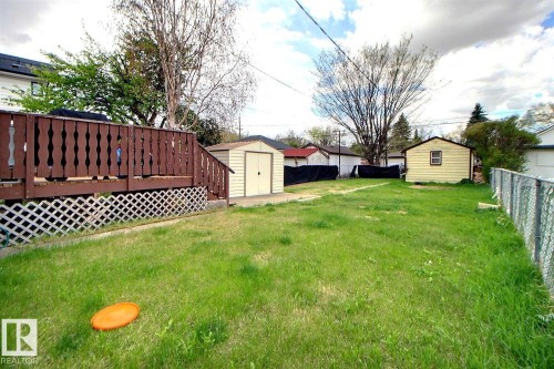 Spacious green lawn featuring a wood deck with lattice skirting, two outdoor storage sheds, and chain-link fencing - 11626 87 Street Nw, Edmonton, AB - Outdoor