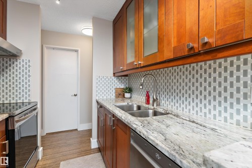 304 13910 Stony Plain Road, Edmonton, AB - Indoor Photo Showing Kitchen With Double Sink