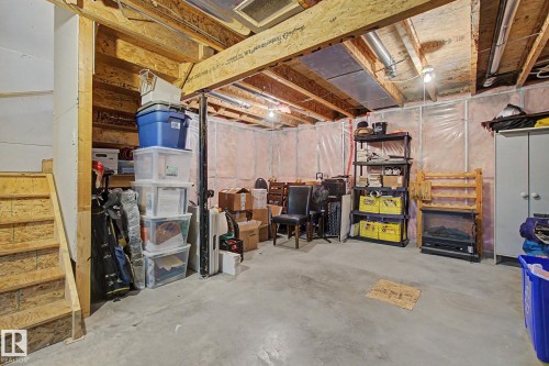 4207 Prowse Way, Edmonton, AB - Indoor Photo Showing Basement
